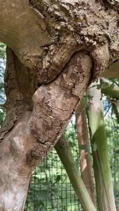 🔥 There's something happening here... What it is isn't exactly clear...🔥