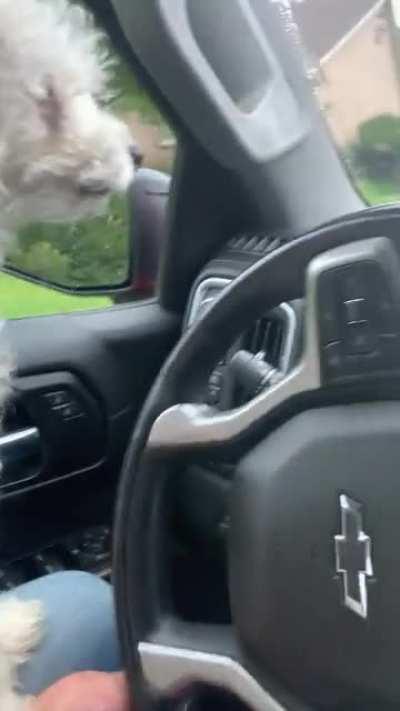 What does this mean? He’s chirping. I’m just pulling up my parents’ driveway. They have a similar dog.