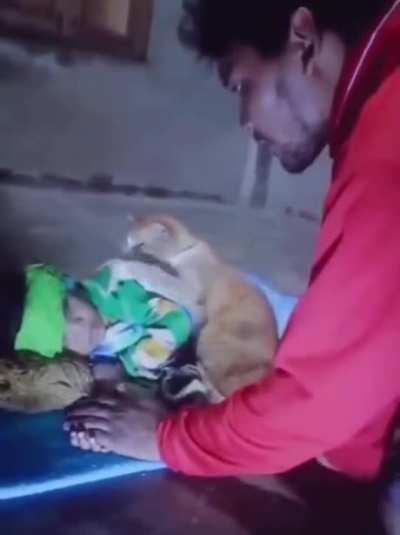 Kitty checking the boy if his getting well.