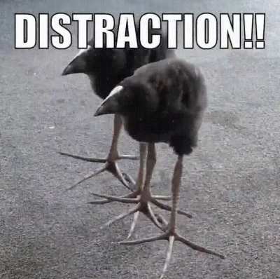 amifajsdfnhvunuvaubah iuasfnisdf yni