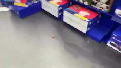 Woman pees on a store's PS4 demo