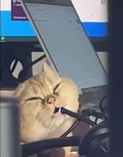 Call center operator