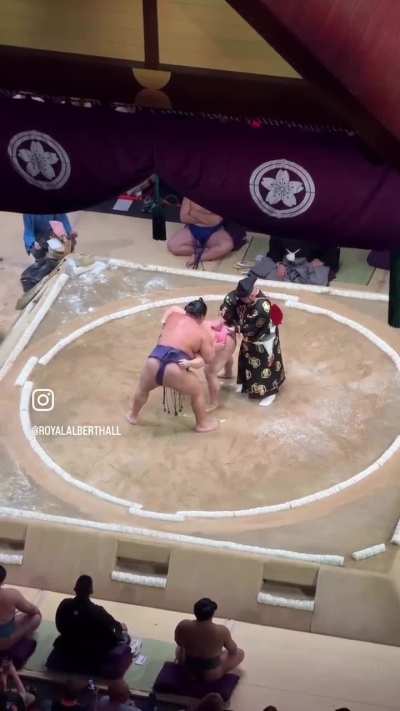 Sumo