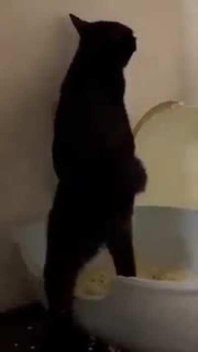 Hey, dont look at me, go away