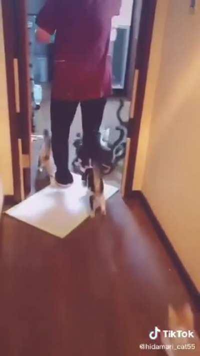 It's kind of weird though...