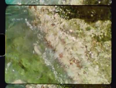 Summer in Italy on Super 8 [Eumig Nautica, Kodak 50D]