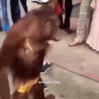 Monkey feels up bystander