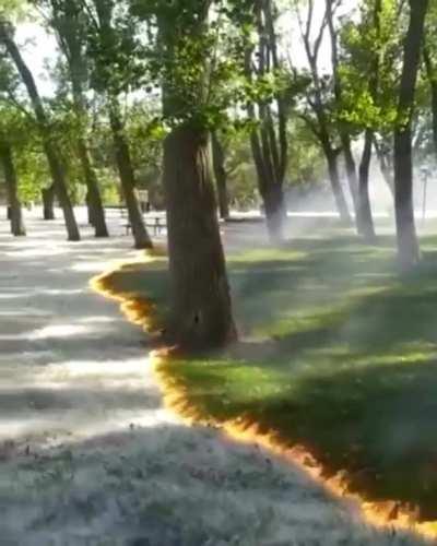 🔥 Cellulose filament being set ablaze