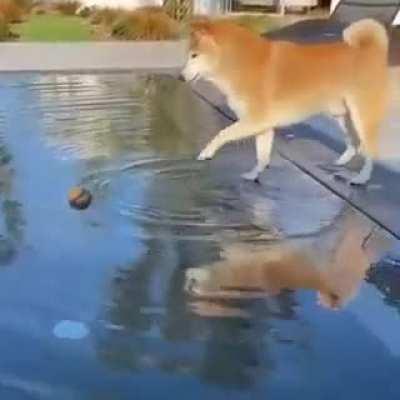 To Reach Ball Floating in the Pool.........