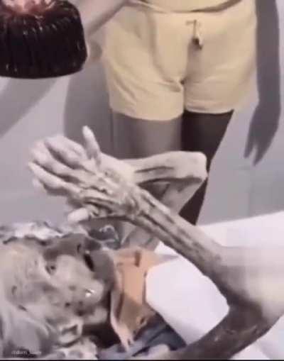 Happy birthday granma 🥳🎈