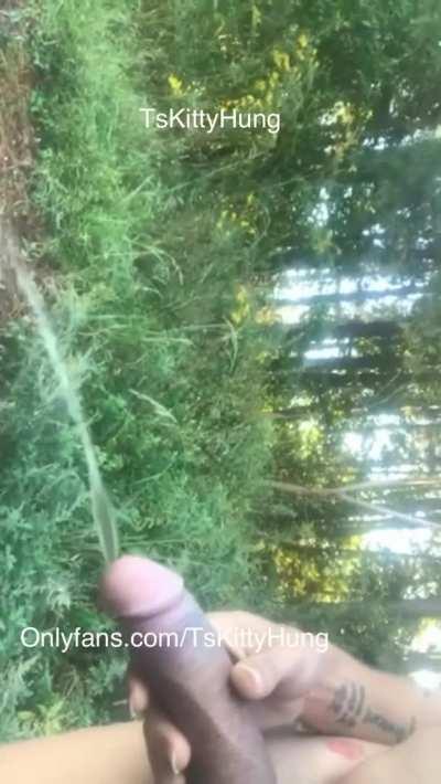 KittyHung pees out in the woods