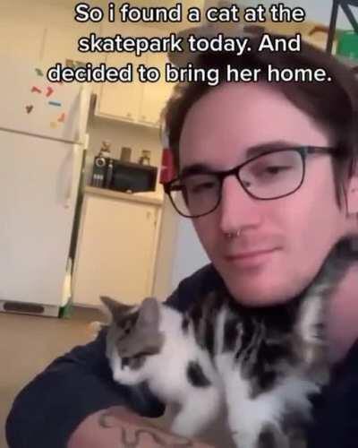 Finding a new best friend