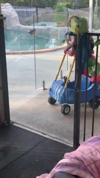 I'm little Johnny Knoxville and this is...