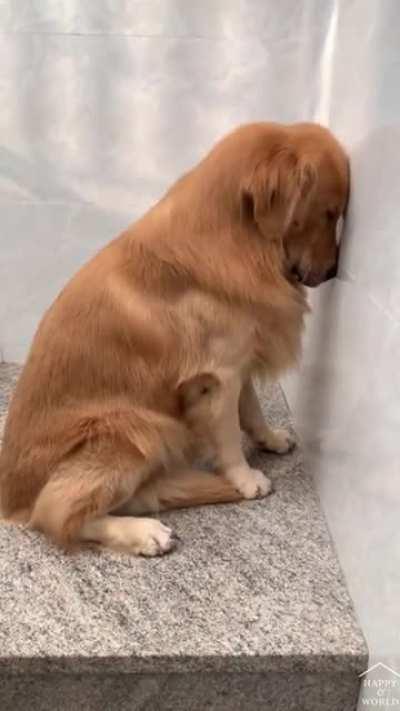 He knows he's guilty