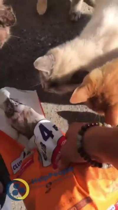 Our drivers always feed stray animals during evacuation trips, Don't abandon your pets, they would never abandon you. TYSM and help us to evacuate more people and their pets, become a Patron