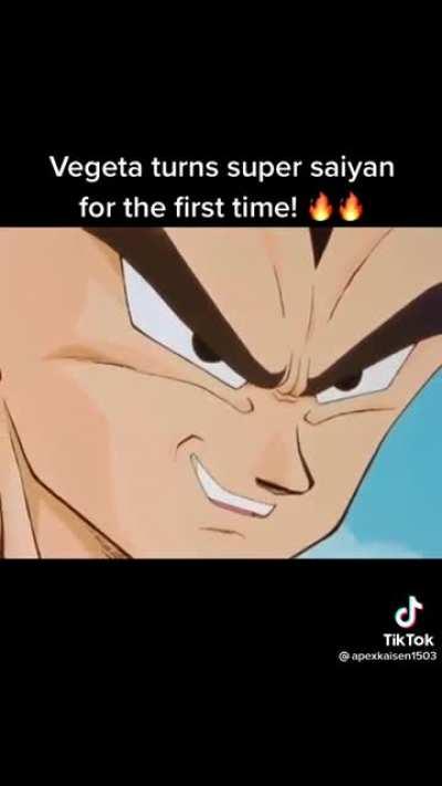 “Oh my heart is EXCEPTIONALLY pure. Pure evil to the core.” Say what you wanted about Vegeta, he has the best lines in the whole series.