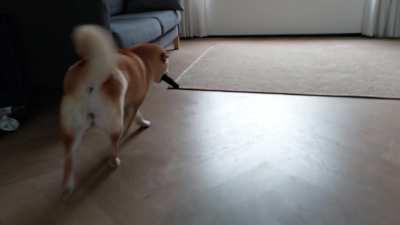 Home for lunch enthusiasm 😋 