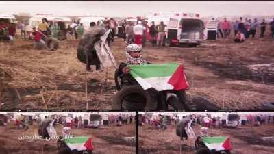 Walk With Us Through Palestine (sub esp/eng/trans/arabic)