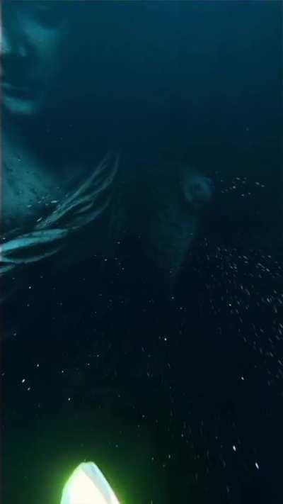 OMG OMG OMG So gross!!