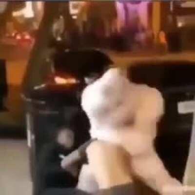 Never give drugs to the rabbit