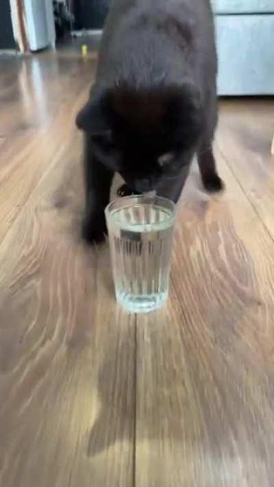 Kitty has a funny water ritual