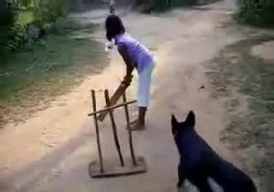 Pretty solid wicketkeeper/fielder