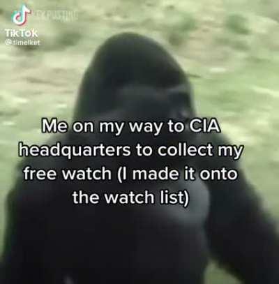 credits to timelket on tik tok