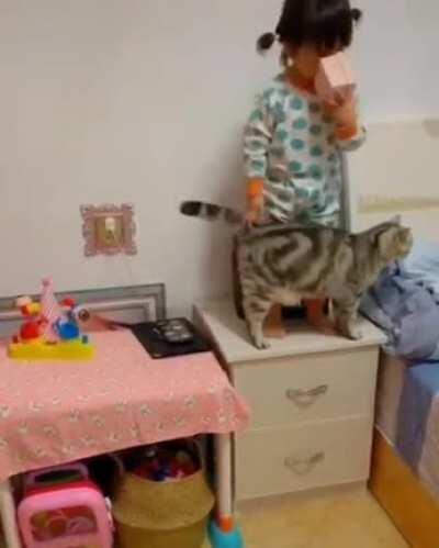 And people say cats are asshole. Smh.