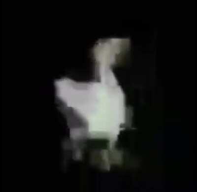 whats up ihaveihaveihaveihaveiers