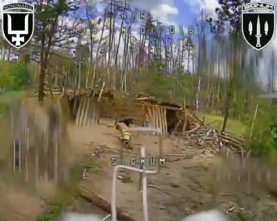 Ukrainian fiber-optic FPV drones hit Russian artillery guns in the Lyman direction. SIGNUM battalion, 10.08.2025