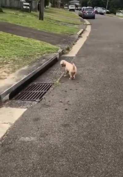 My sewer people need me