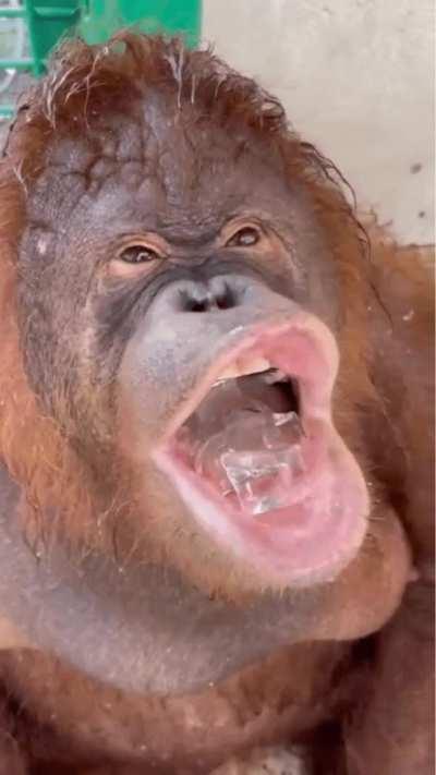 When you ate a lot of tabasco