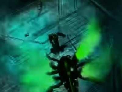 Meridian war footage.