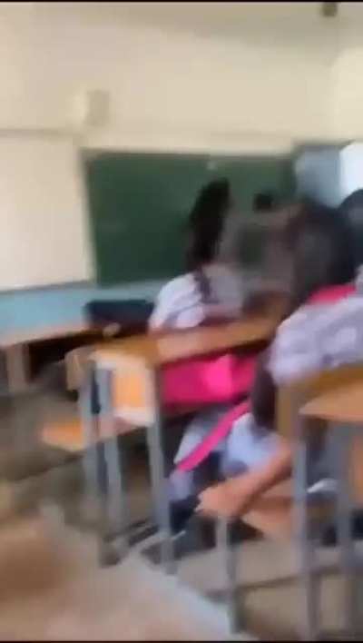 Cat fight