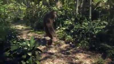 Los ludopatas del chat mientras el Carola esta organizando su inventario entre partidas.