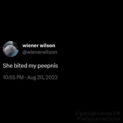 wiener wilson done in by brick