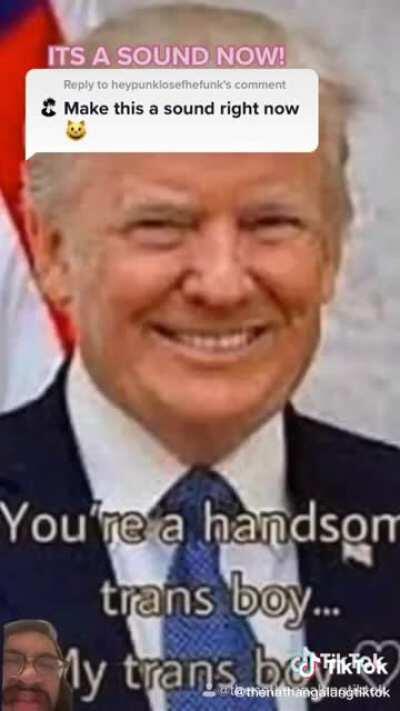 Trans Boy Shapiro feels dysphoric