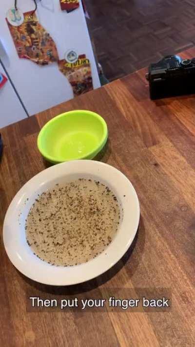 How to easily explain the importance of washing hands with soap to small children: You only need water, ground black pepper and soap (by Valokuvaaja Ari Mäkiö)