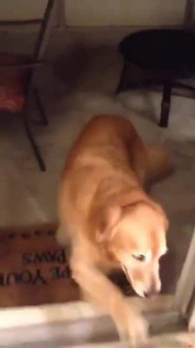 Oh it was open all the time.