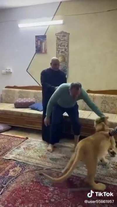 WCGW Bringing A Lion To Someone's House