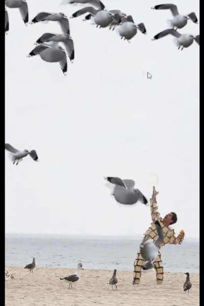 Bread-man vs seagulls