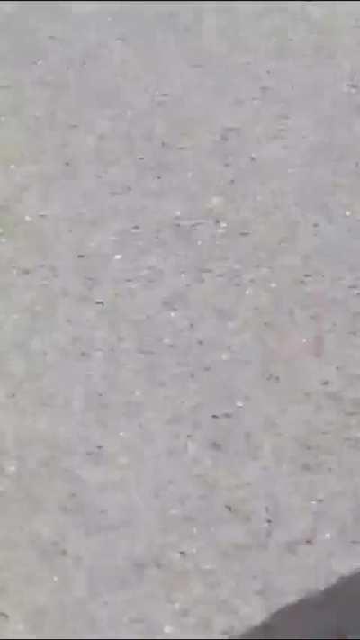 Que hacer con los que aprovecharon y siguen aprovechando de las protestas para delinquir?