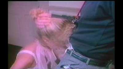 Ginger Lynn & Paul Thomas : Bedtime Tales (1985) : 