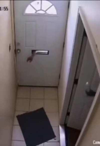 You shouldn't have put your dirty hands there