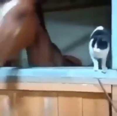 Roger Water’s unknown China tour leaked