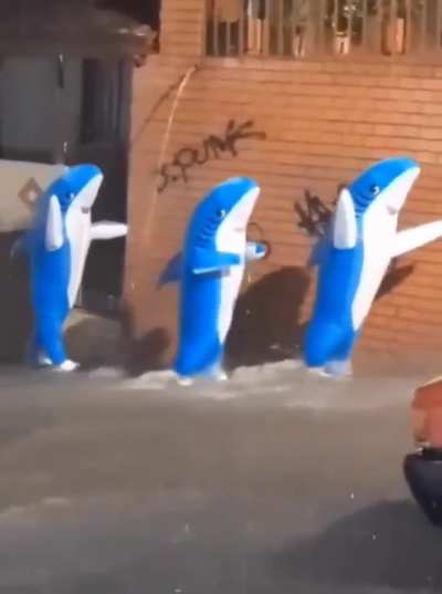 Mientras tanto en veracru