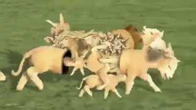 Thanks, I hate seeing a cursed sheep