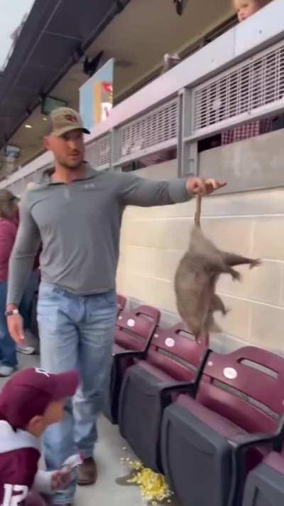 This guy pest controls