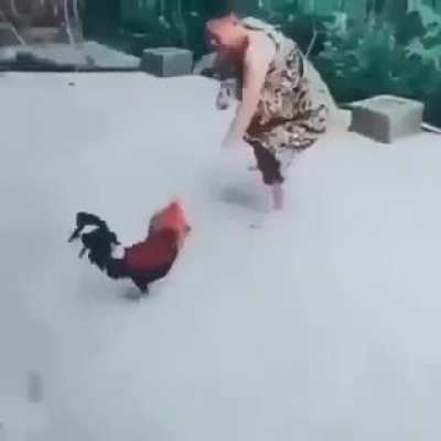 The universe has brought us the Dragon Warrior!