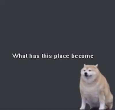 Me every time I come to this sub